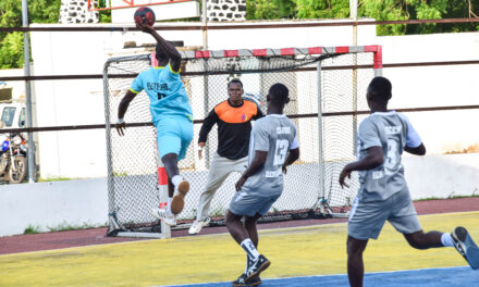 Handball/Togo: La LLG relance ses activités