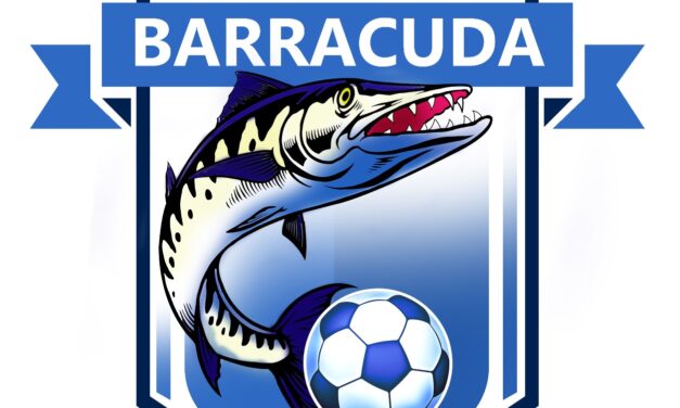 AC BARRACUDA