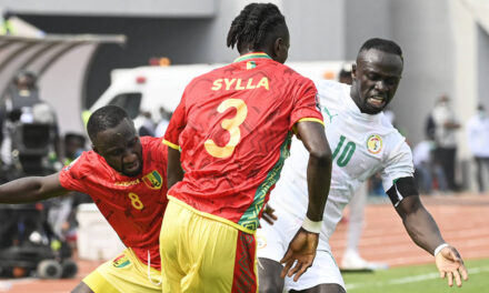 CAN 2023 : Historique des matchs Cameroun-Guinée