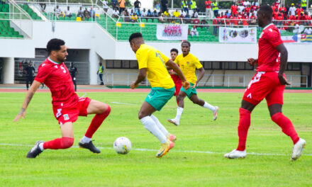 Classement FIFA : Le Togo gagne quatre places