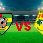 Football : Un match amical Togo-Guinée en vue