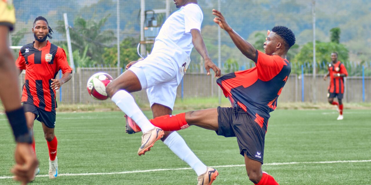 D1 LONATO (J3) : Les infos du week-end