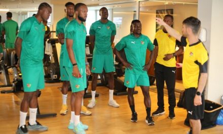 Journée FIFA : L&rsquo;effectif du Togo s&rsquo;affiche complet