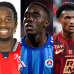 Togo : Les nouveaux du Nid des Eperviers