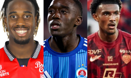 Togo : Les nouveaux du Nid des Eperviers